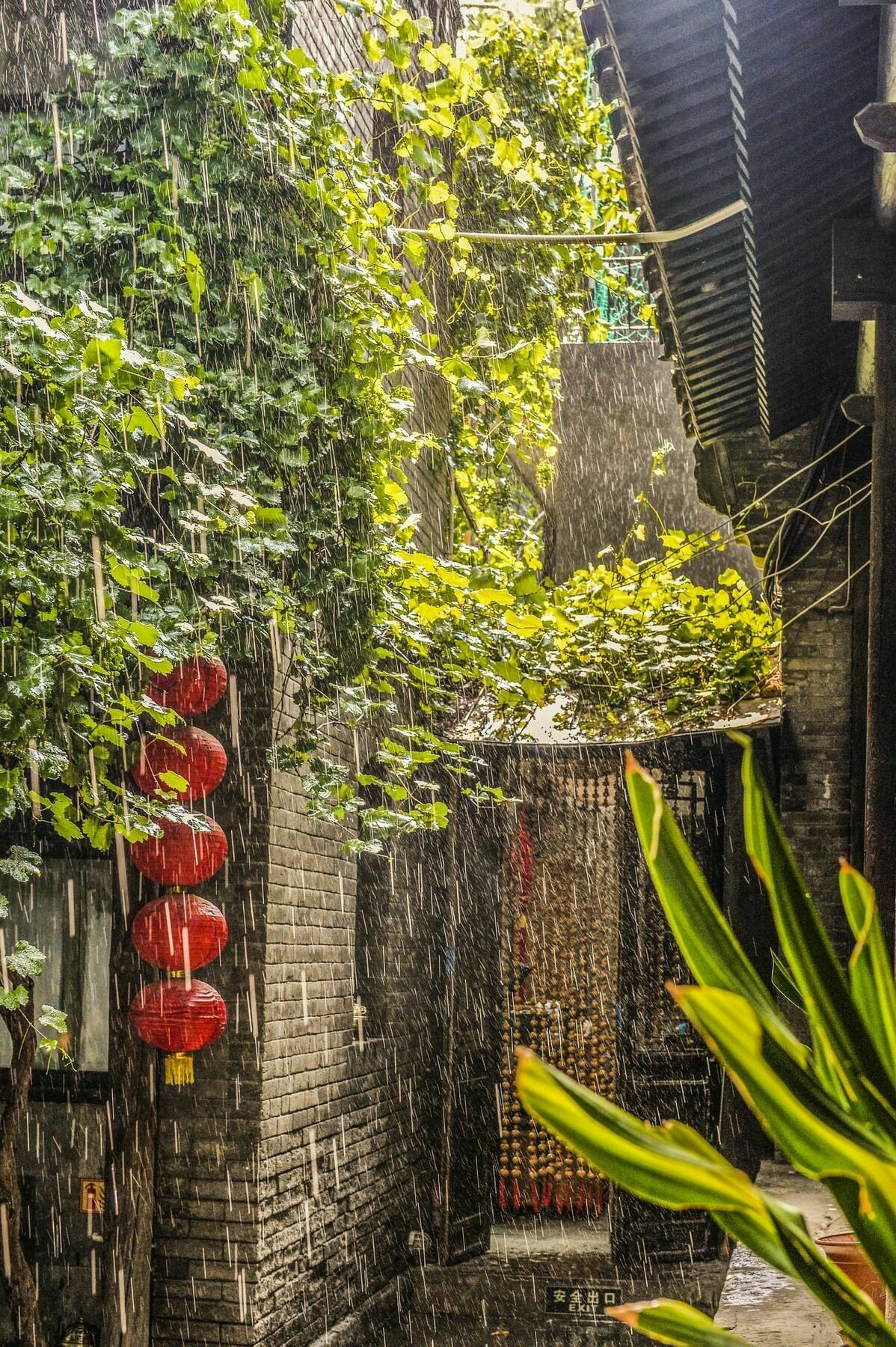 Hotel Hill Lily Courtyard Peking Exteriér fotografie